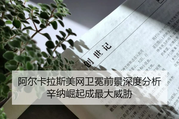 a-er-ka-la-si-mei-wang-wei-mian-qian-jing-shen-du-fen-xi-xin-na-jue-qi-cheng-zui-da-wei-xie-2-917.jpg