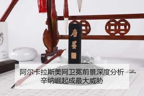 a-er-ka-la-si-mei-wang-wei-mian-qian-jing-shen-du-fen-xi-xin-na-jue-qi-cheng-zui-da-wei-xie-3-806.jpg
