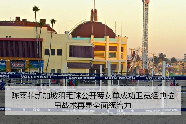 陈雨菲新加坡羽毛球公开赛女单成功卫冕经典拉吊战术再显全面统治力
