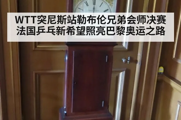 WTT突尼斯站勒布伦兄弟会师决赛 法国乒乓新希望照亮巴黎奥运之路